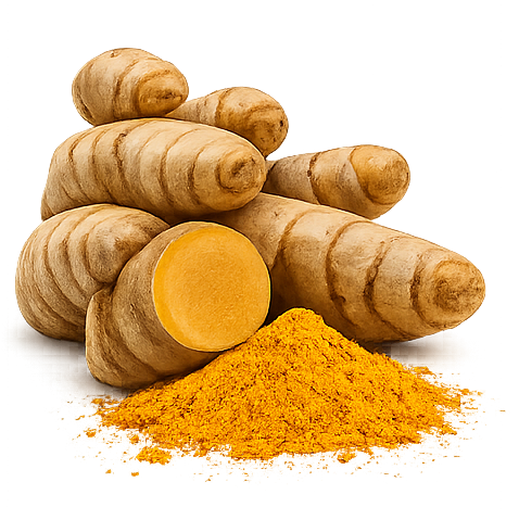 Curcuma domestica Rhizoma
